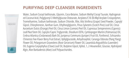 Luminovation Purifying Deep Cleanser
